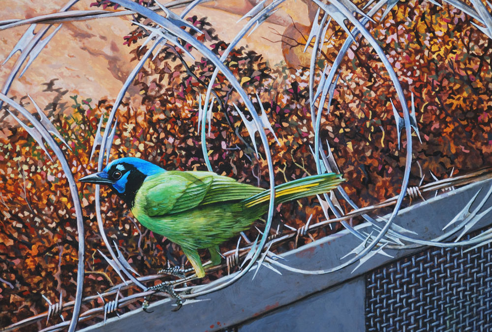 Carel Brest van Kempen